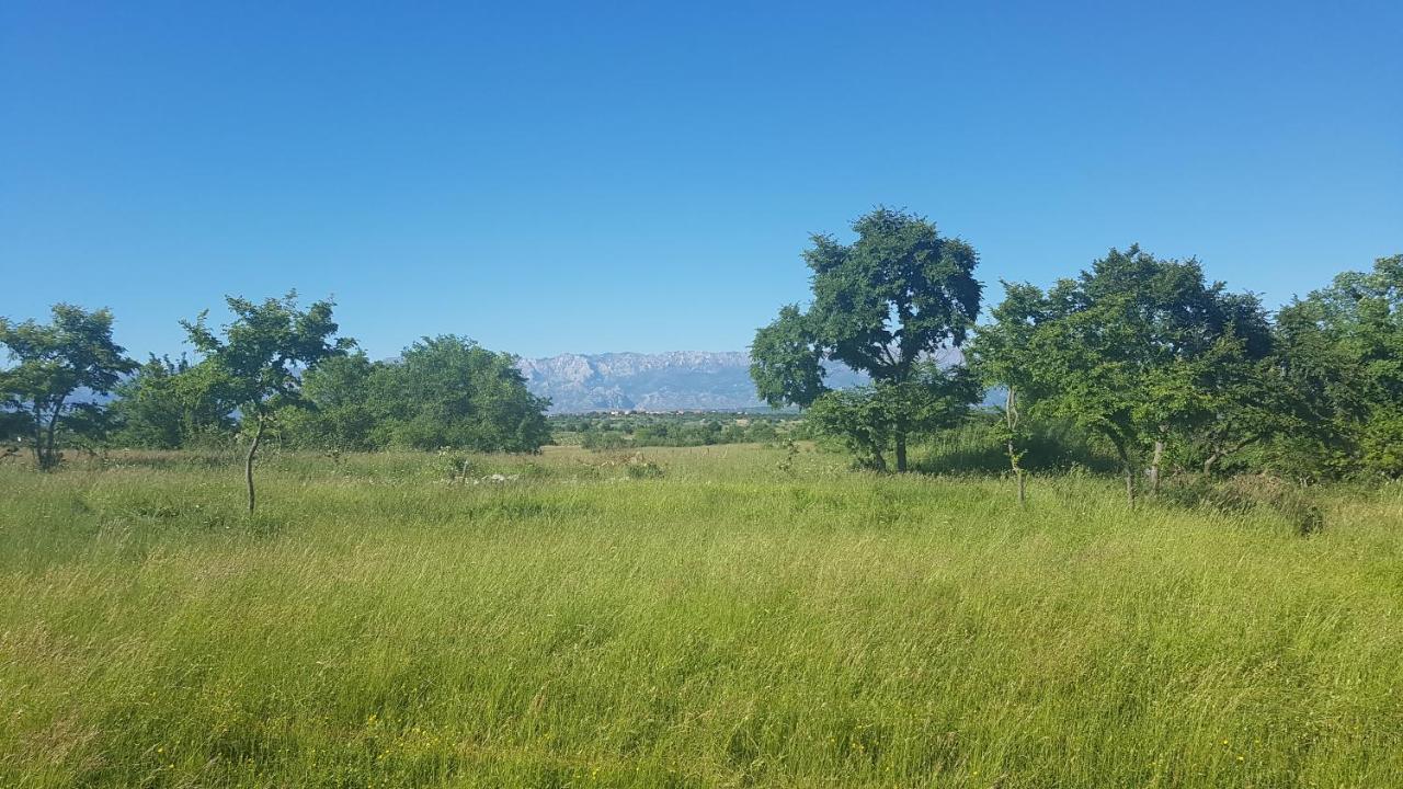 Savrsen Odmor U Villa Ivona Zadar Dış mekan fotoğraf